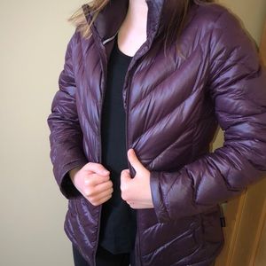 Purple Calvin Klein Winter Puff Jacket.